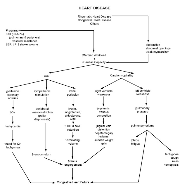 Pathophysiology: HEART DISEASE - Pathophysiology