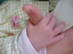 baby hand wrapped around adult thumb. Stock Photo credit: labergquis