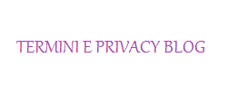 Termini e Privacy Blog