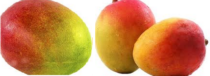 Mango and Yogurt Face Mask home made facemask for Glowing ,Gorgeous and healthy skin Mango and Yogurt Face Mask home made facemask for Glowing ,Gorgeous and healthy skin