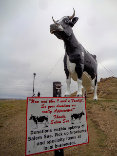 Salem Sue, the world's largest Holstein, in New Salem, North Dakota