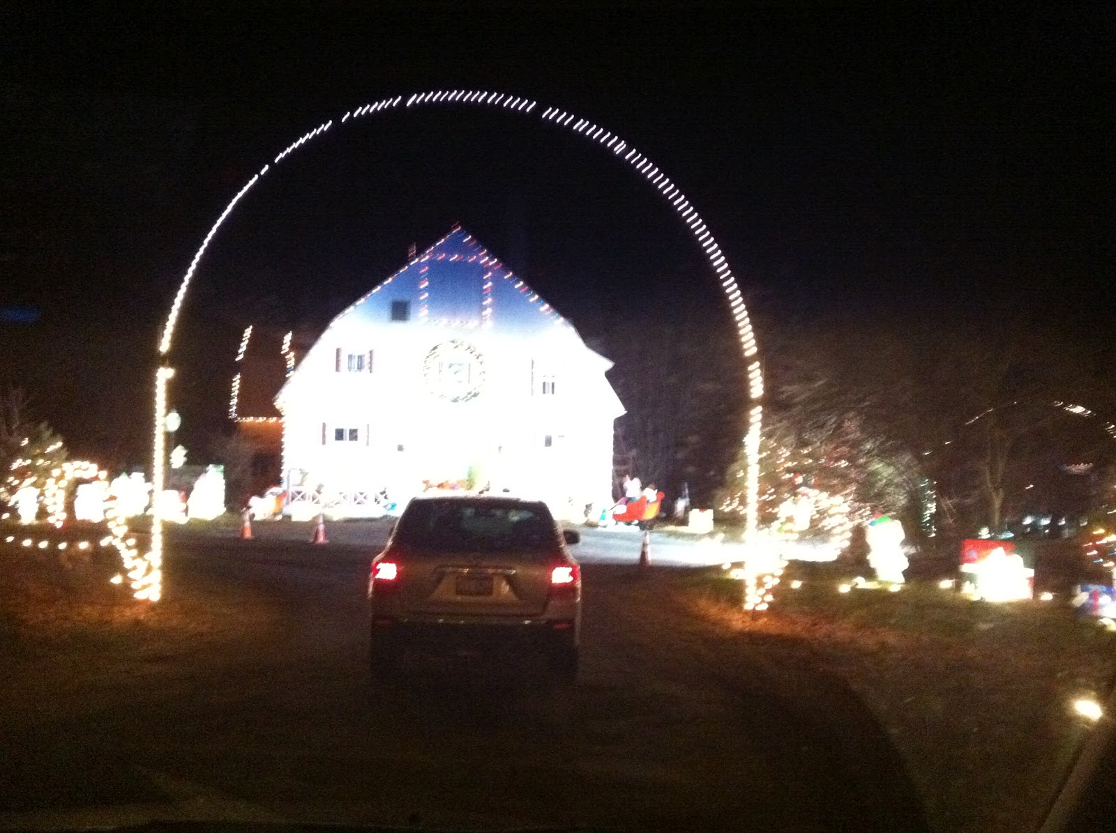 The Meidel Family Cuneo Museum Lights!
