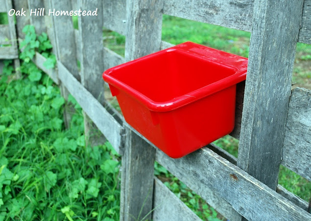 A red plastic mineral feeder hanging on a wooden fence made of pallets.