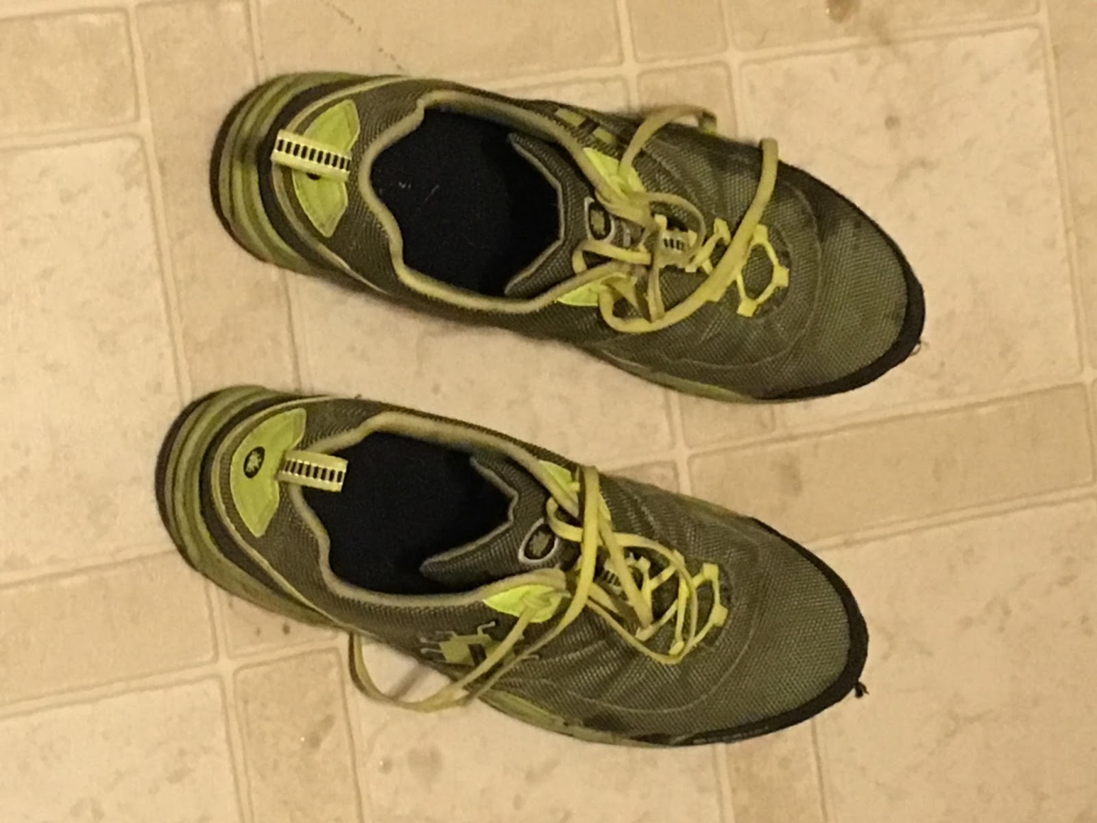 An Ode to Icebug Running Shoes