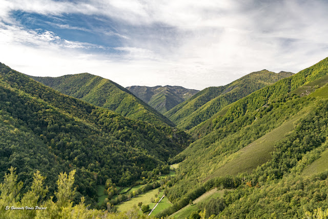 Bosque de Muniellos - Asturias por El Guisante Verde Project