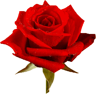 2724723_y8vaB%2B-%2BC%25C3%25B3pia%2B-%2