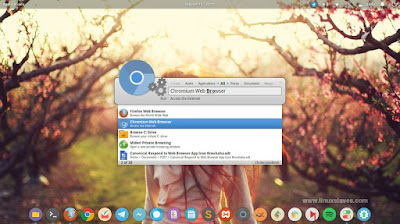 Installing Numix Circle Icons on Elementary OS