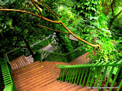Paket Wisata Bandung - Forest Walk Babakan Siliwangi