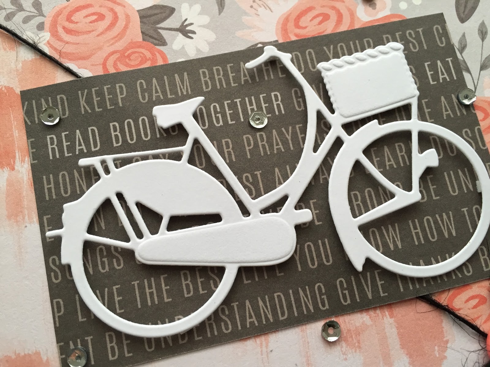 i like to ride a bike