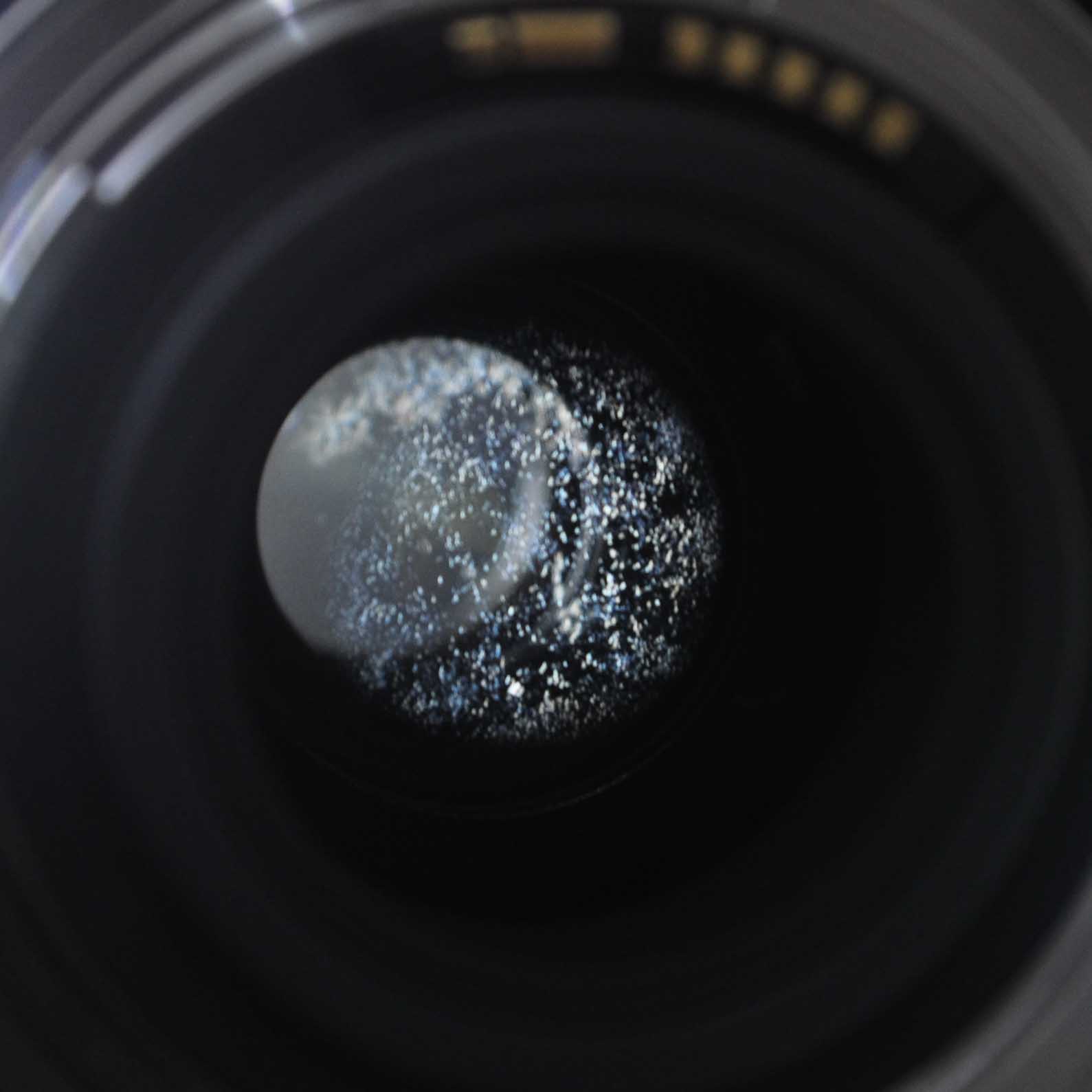 Fungus in lens the new blogger