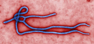 Congo declares Ebola resurgence in North Kivu