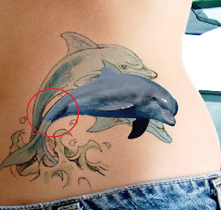 Gay Dolphin Tattoo 11