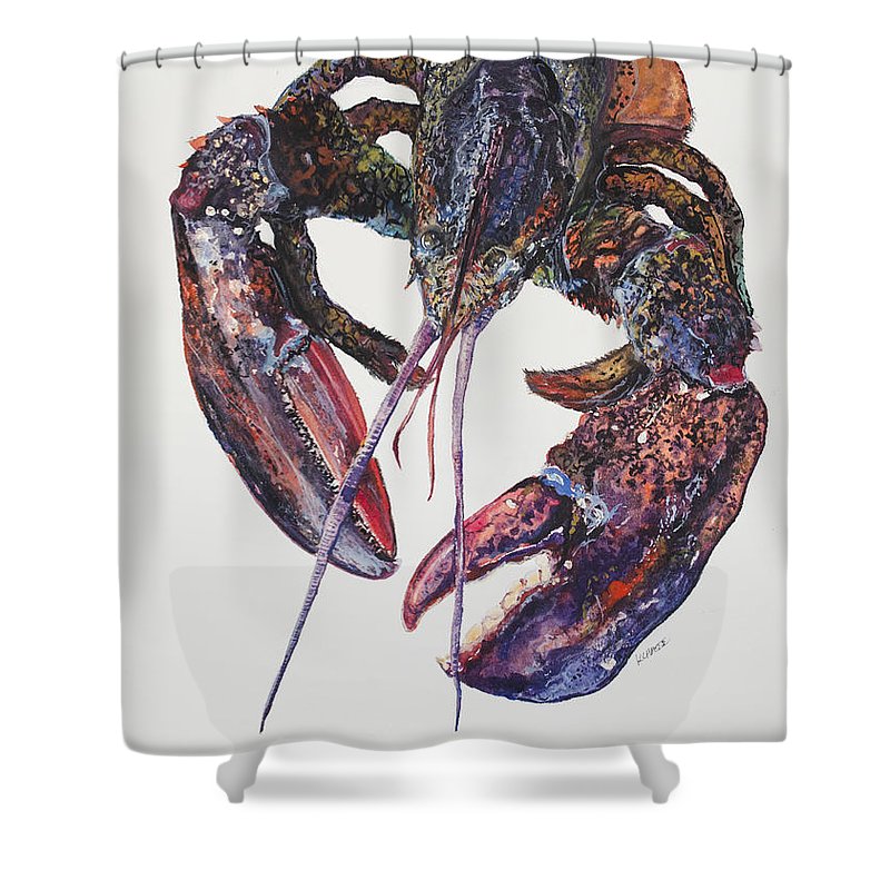 Kellie Chasse Fine Art Just Finished This Maine Live Red Lobster