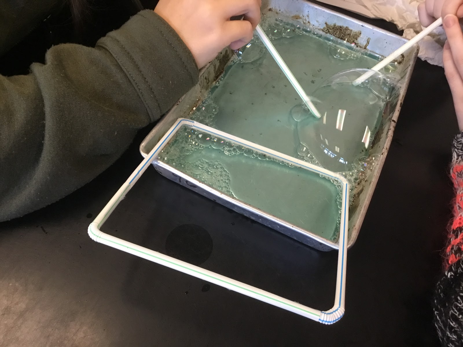 Biology by the Math Mom Cell Membranes and Bubbles