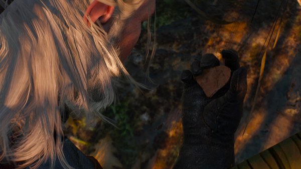 Witcher 3 ladies in the wood