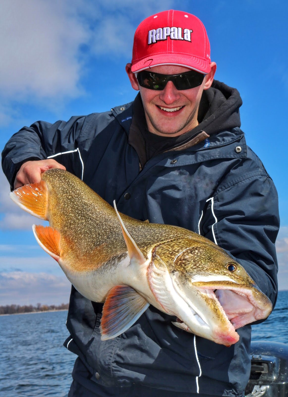 Lake Ontario Lake Trout