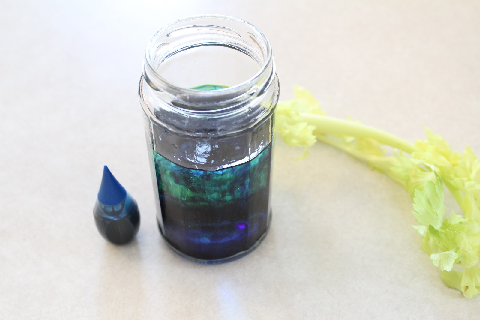 My Froggy Boy Easy Science Projects for Kids How plants absorb water