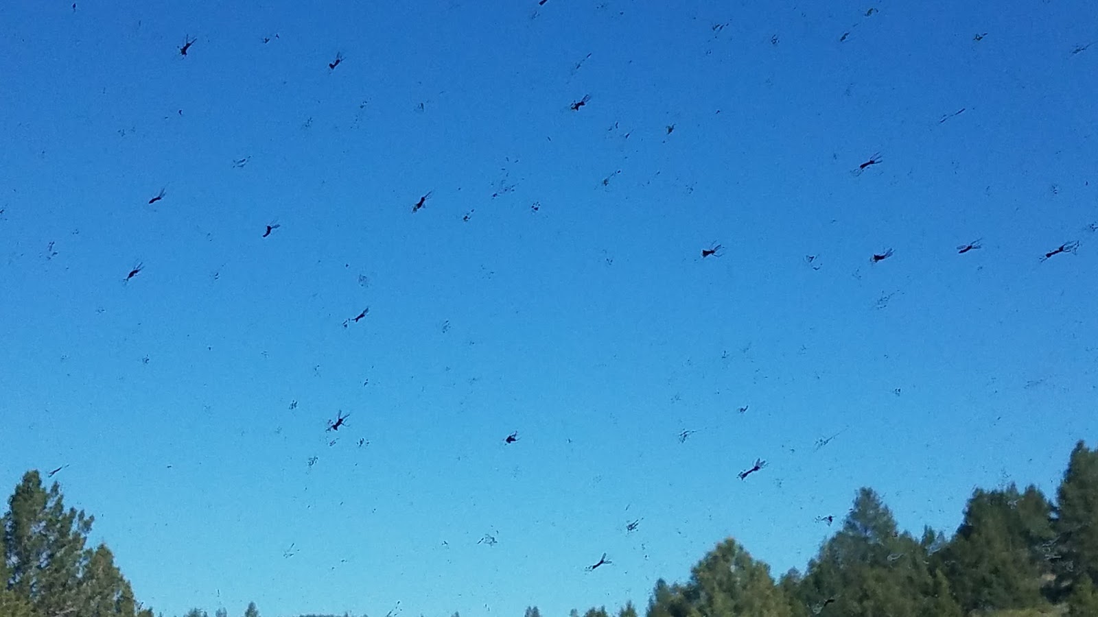 Rolling Along Country Roads Lower Truckee, Donner Pass, Spanish Creek