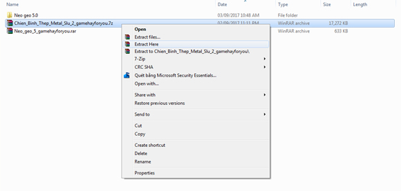 download neoragex 50 windows xp