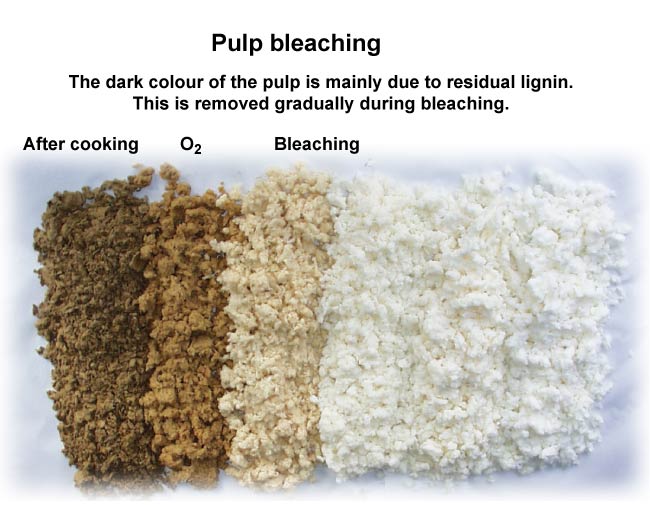 LAPORAN PEMBUATAN KERTAS SENI DENGAN MENGGUNAKAN ECENG GONDOK Teknik