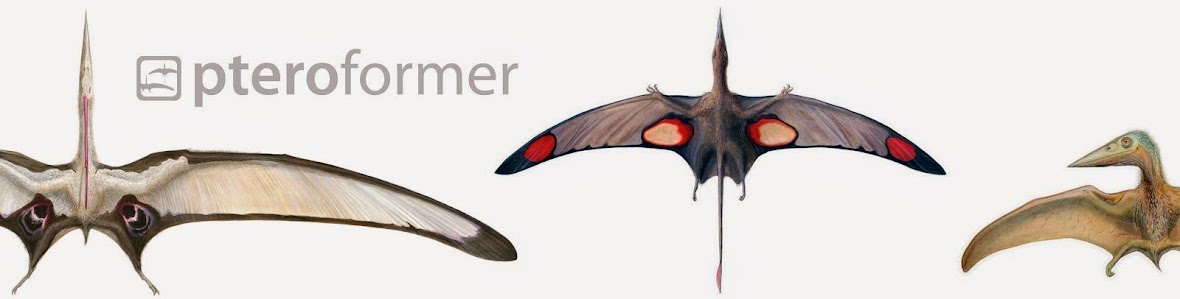 Pteroformer