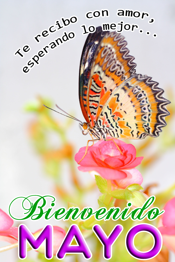 Bienvenido Mayo !! Postales con mensajes para recibir este mes