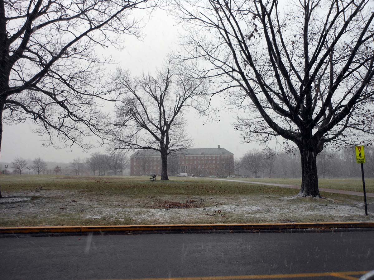 Quotidian New York (1) Staircase nonsequitors, (2) a trip to Staten