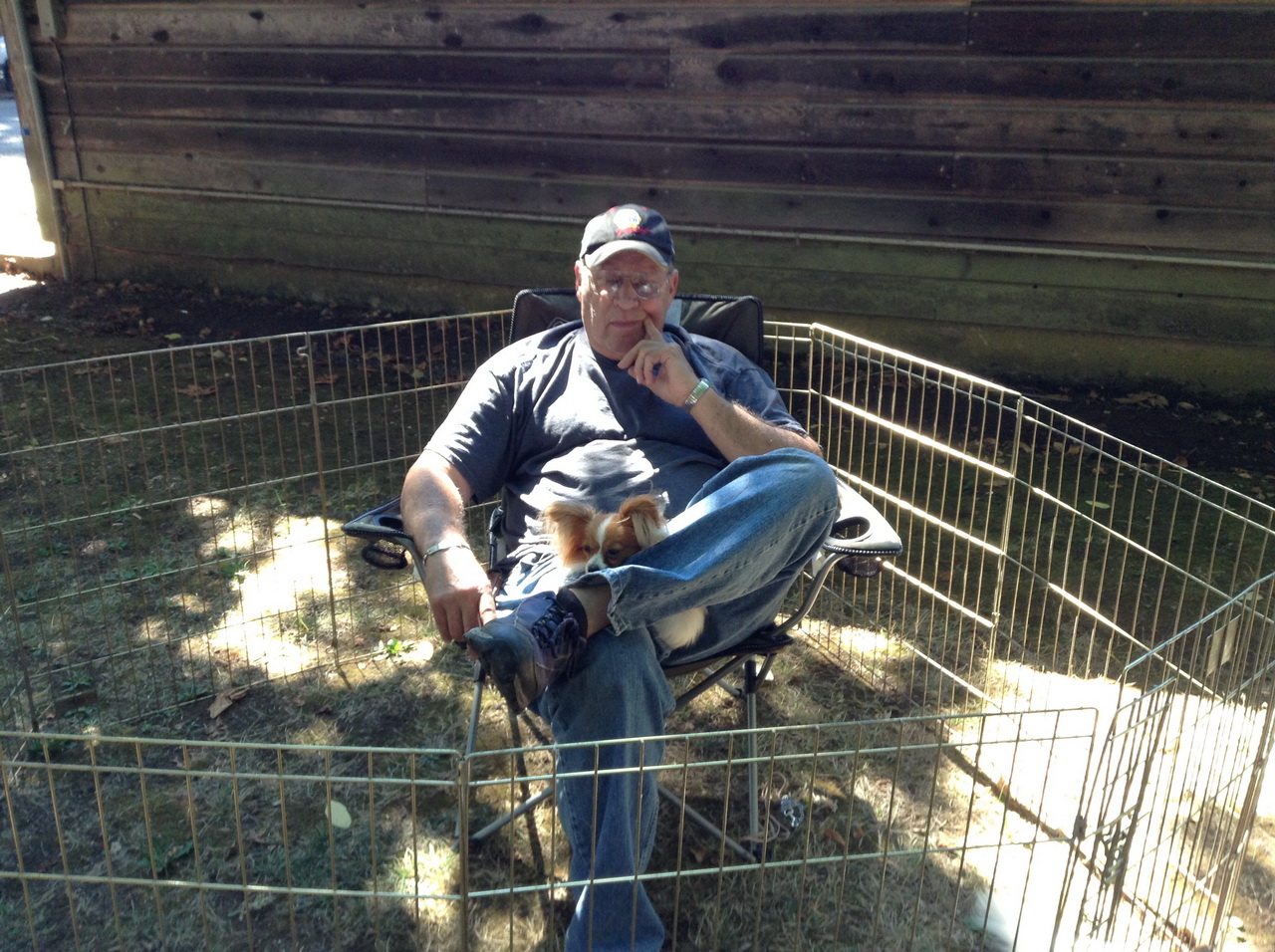 Road's End Papillons Brownsville, OR, Eugene Kennel Club