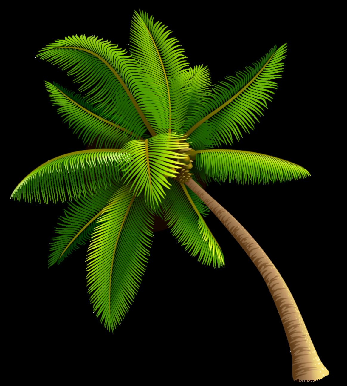 Palm Tree Tumblr Transparent