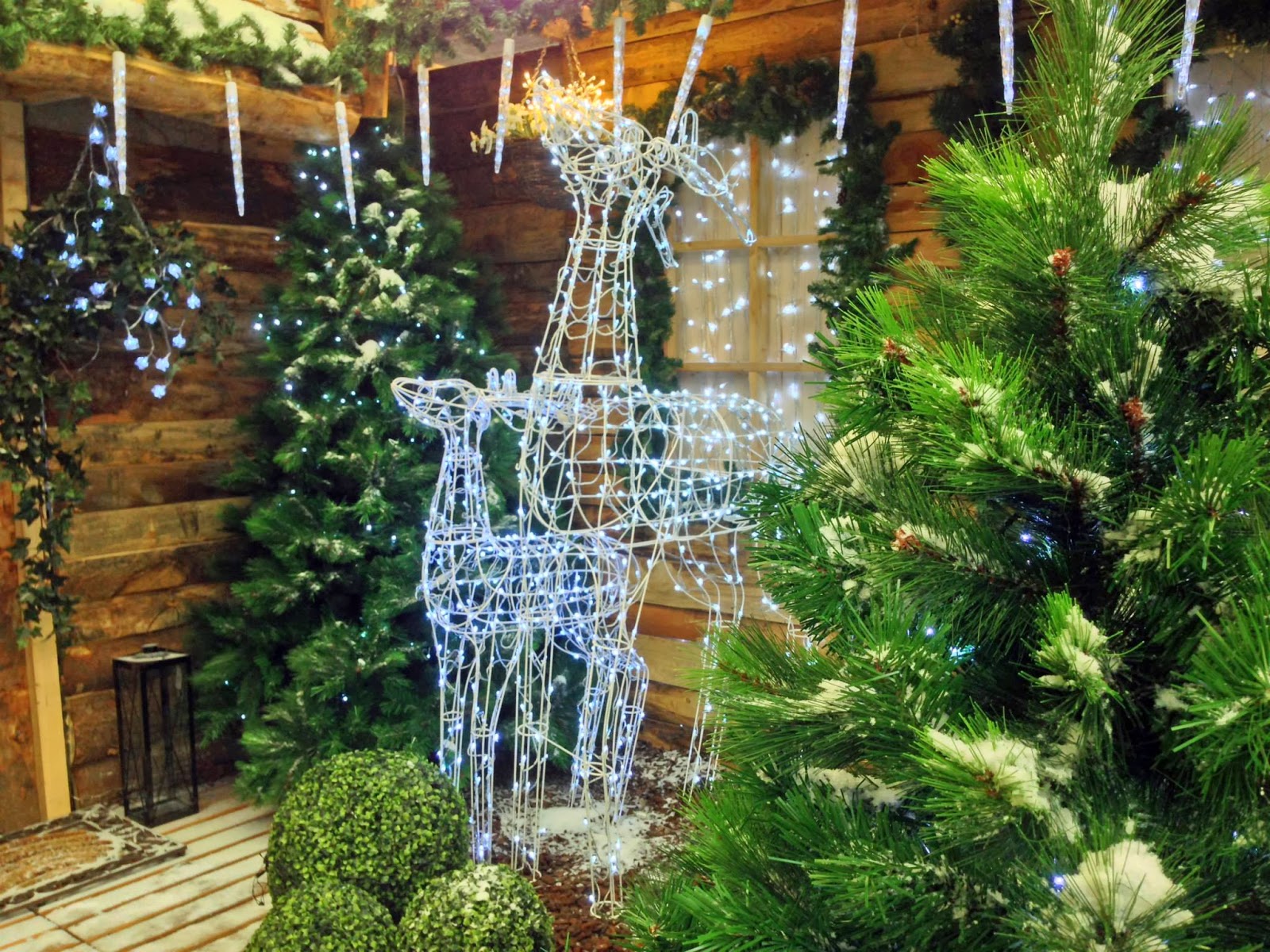 Cagouille's Garden : Noël chez Botanic