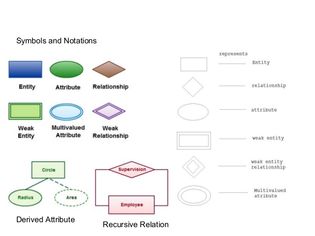 ER Model Diagram Symbols Details (DBMS)