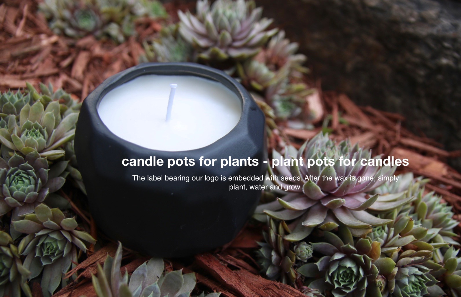 Create A Cozy Atmosphere In Your Home with Hyggelight The Growing