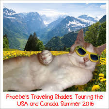 Phoebe's traveling shades