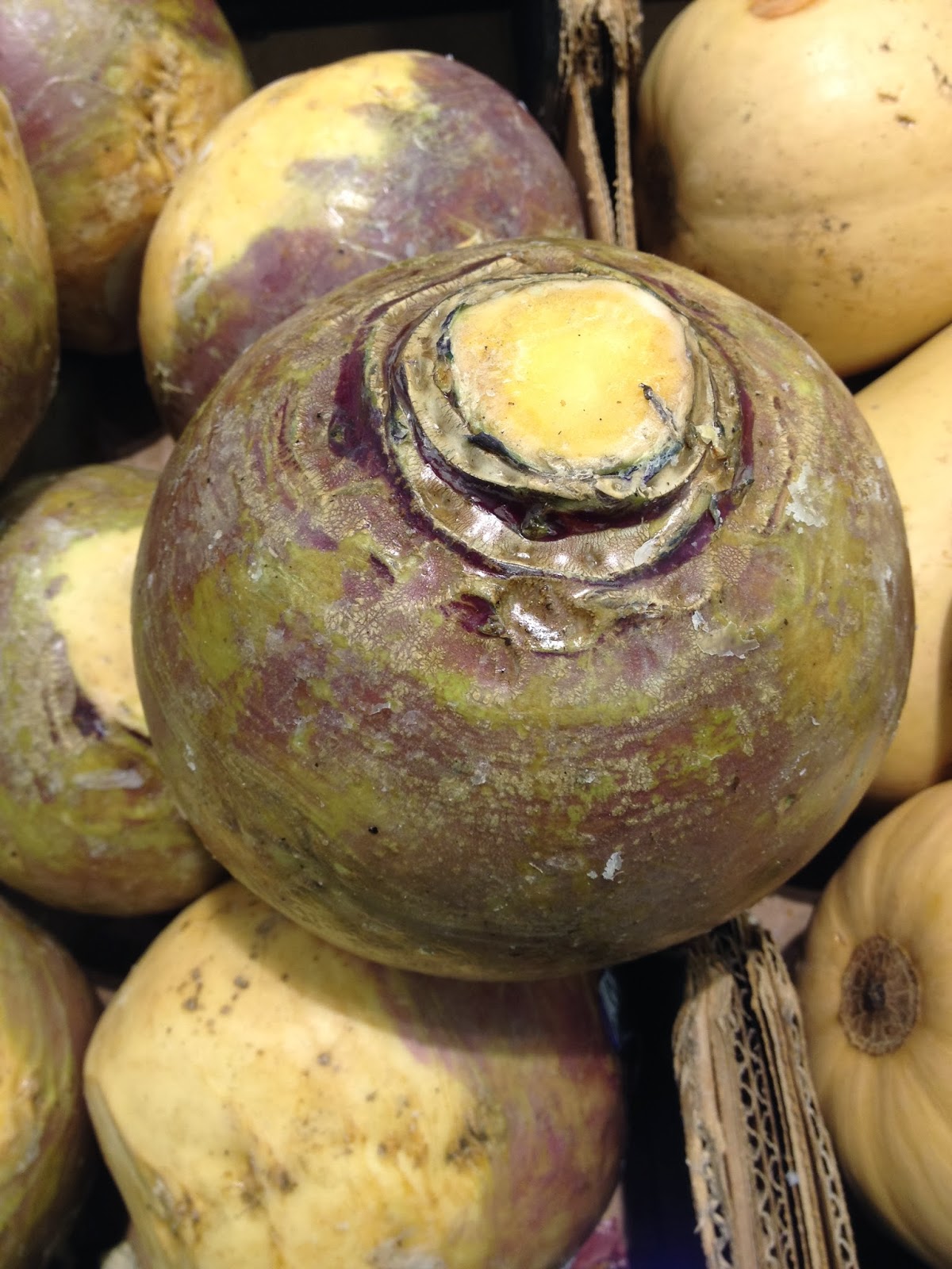 Rutabagas by any other names are Yellow Turnips or Swede’s