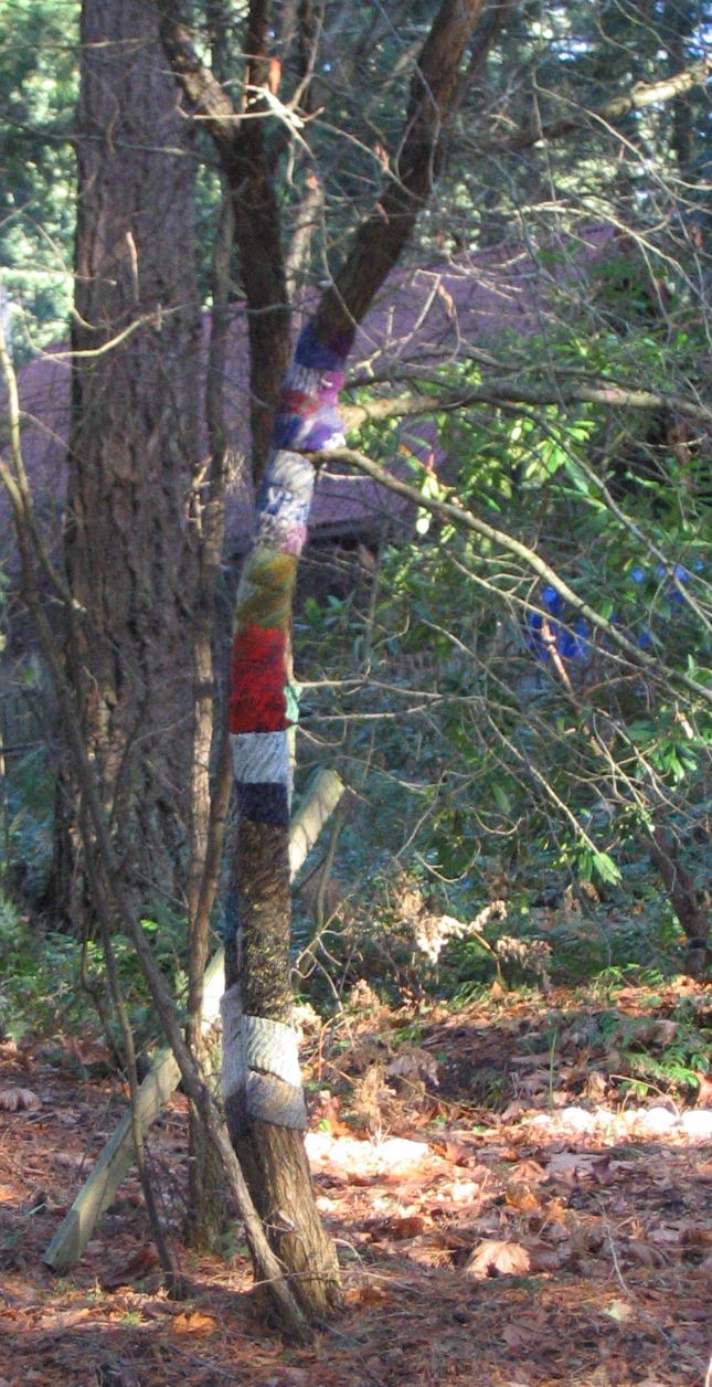 getthewholepicture Keeping the Trees Warm