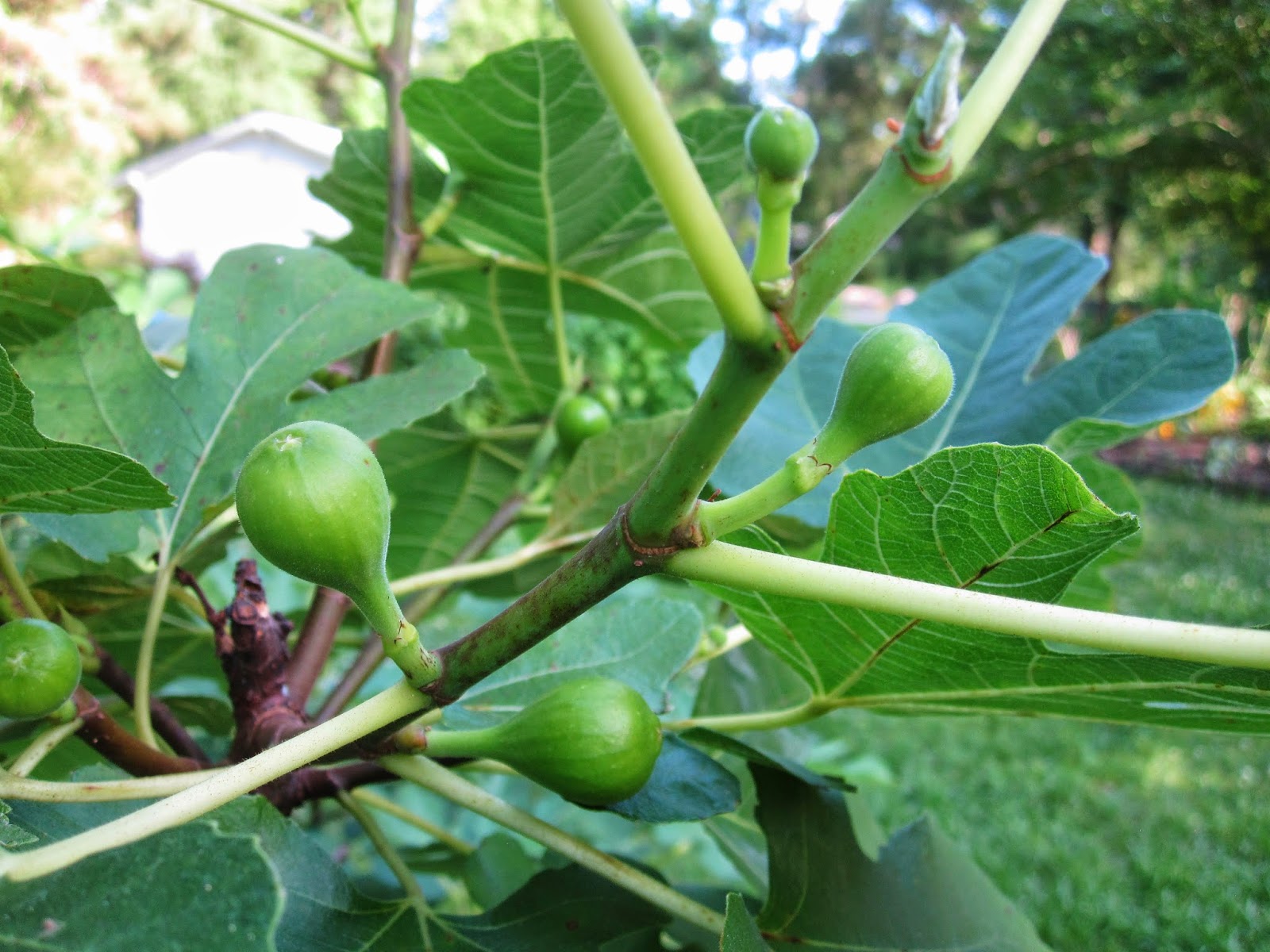 6 Generations May 2014