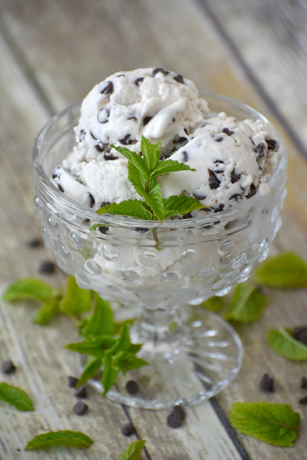 Mint Chip Ice Cream (Gluten Free, Dairy Free) Living Freely Gluten Free