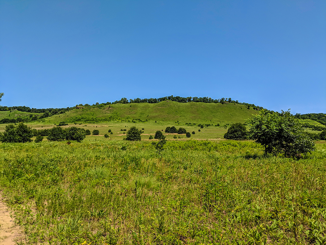 Hiking the Spring Green Preserve
