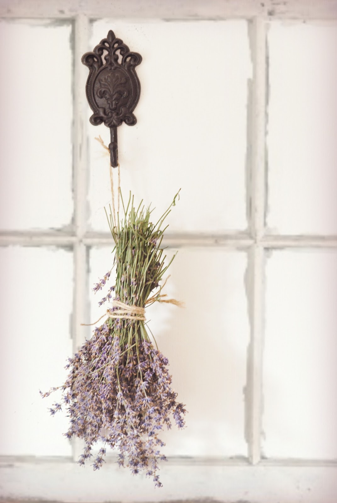 It Smells Like Lavender Sylvia's Simple Life