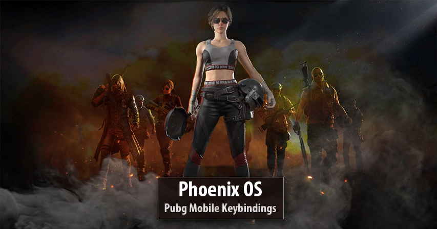 pubg mobile keybinding guide for phoenix os