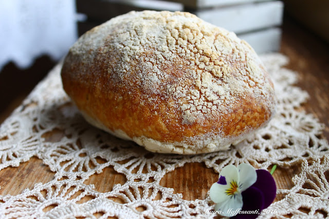 lievito madre pane buchi