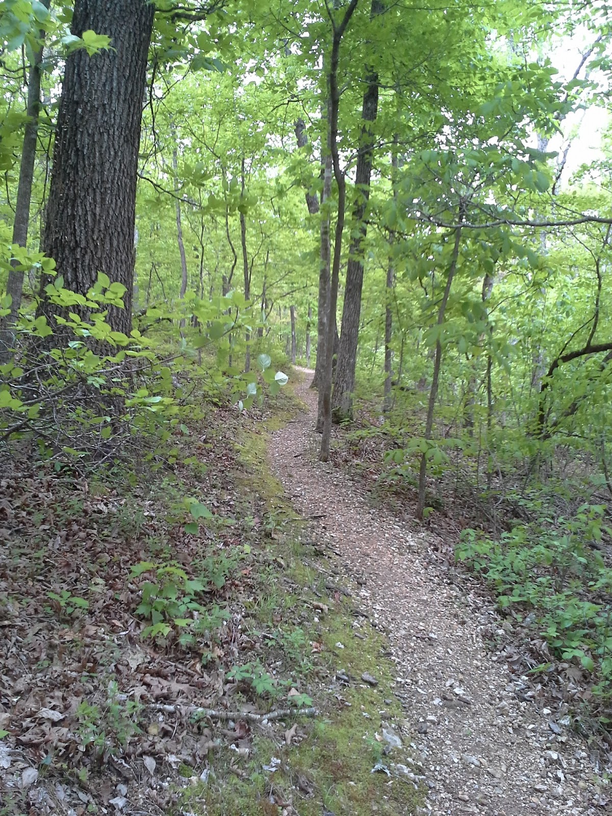 Buffalo Hikes Day Hiking the Pigeon Roost Trail