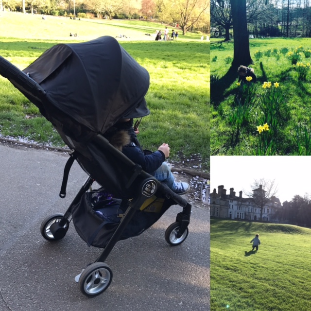 Review City Tour buggy for travel (and the spacesqueezed) run out