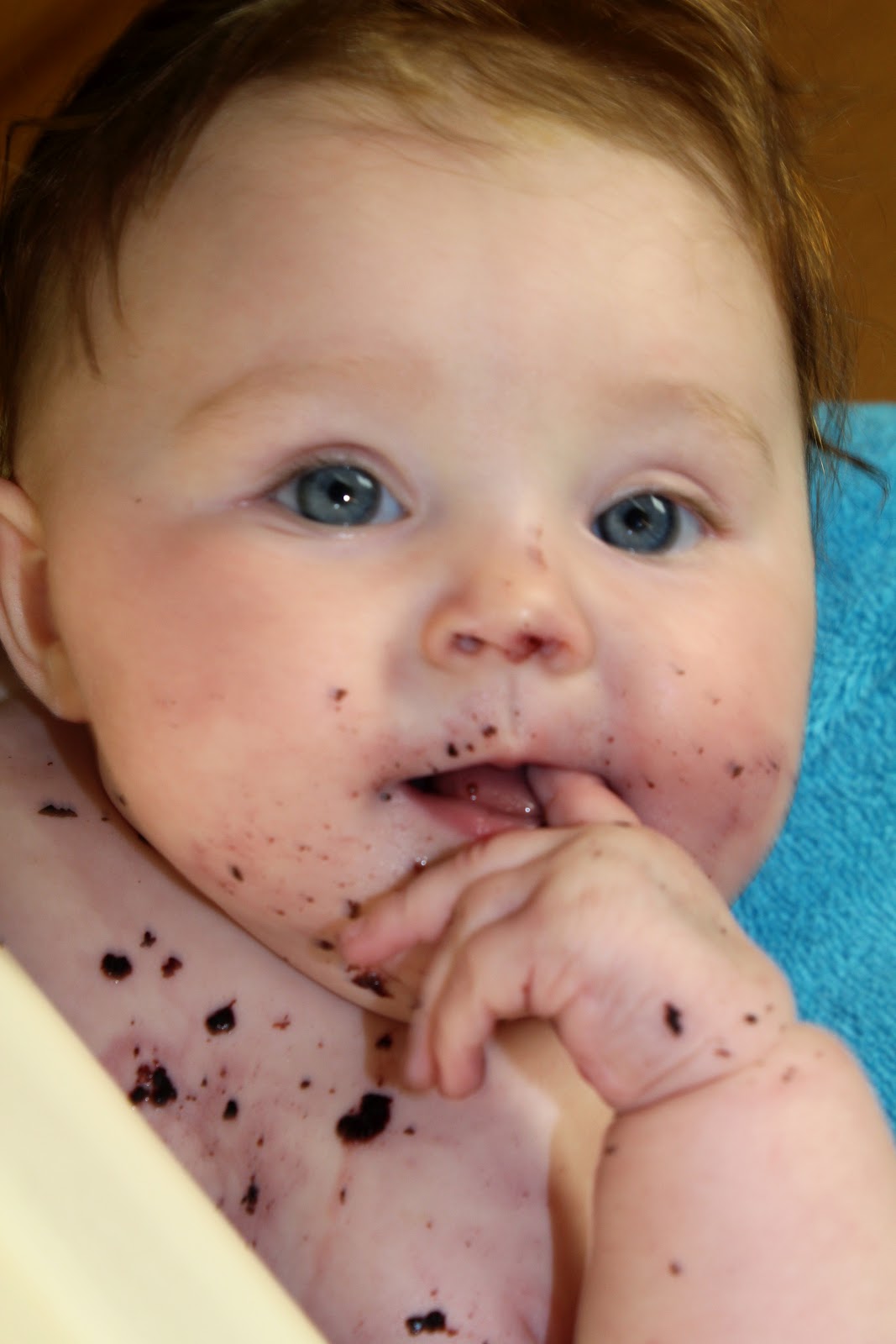 Home is wherever we are if there's love there too. Blueberry Baby