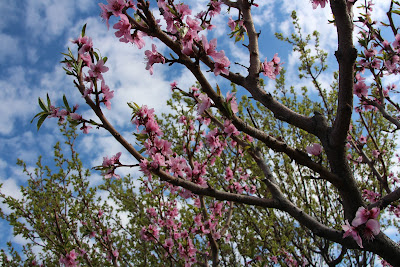 Велопоход «Армения-2017»