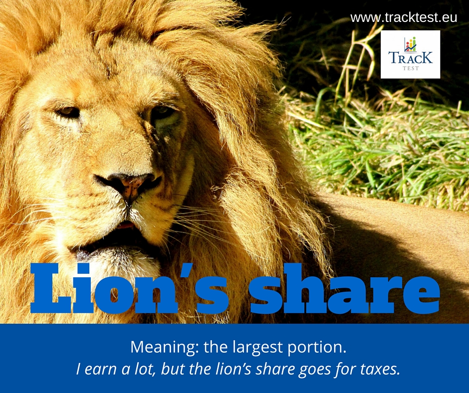 English Proficiency Test Online Blog Idiom of the day Lion's share