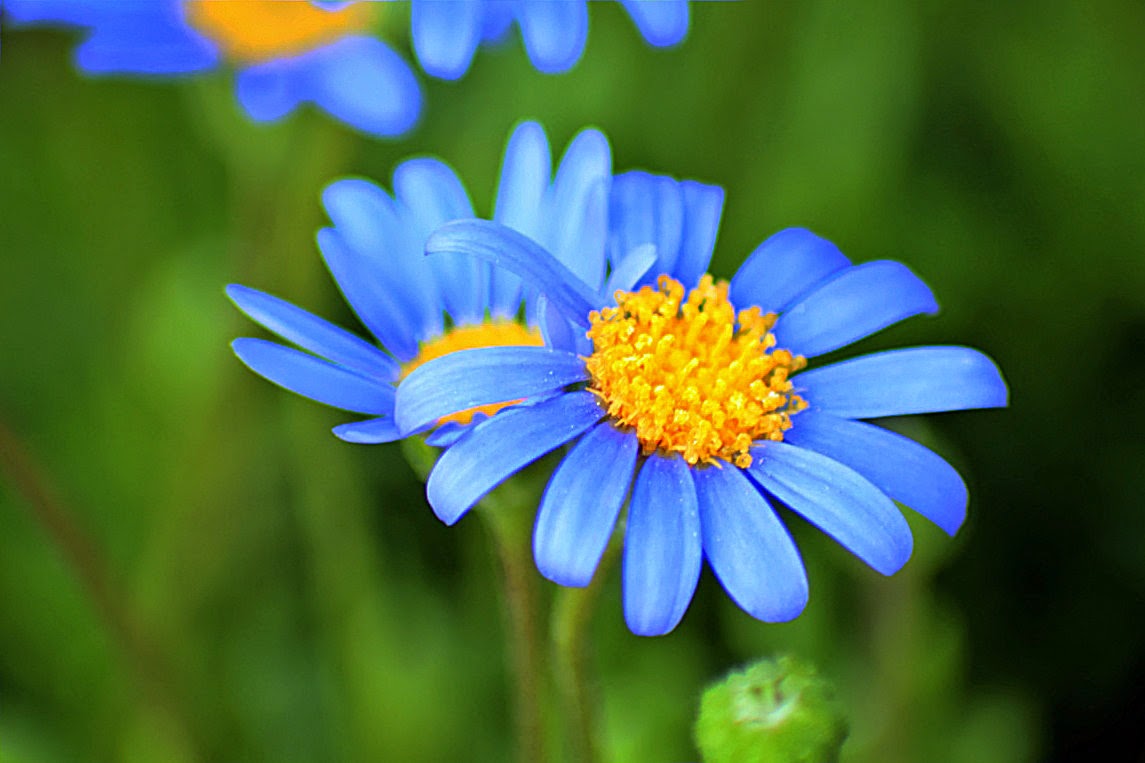 I kissed a girl and I liked it umalesbicafeliz