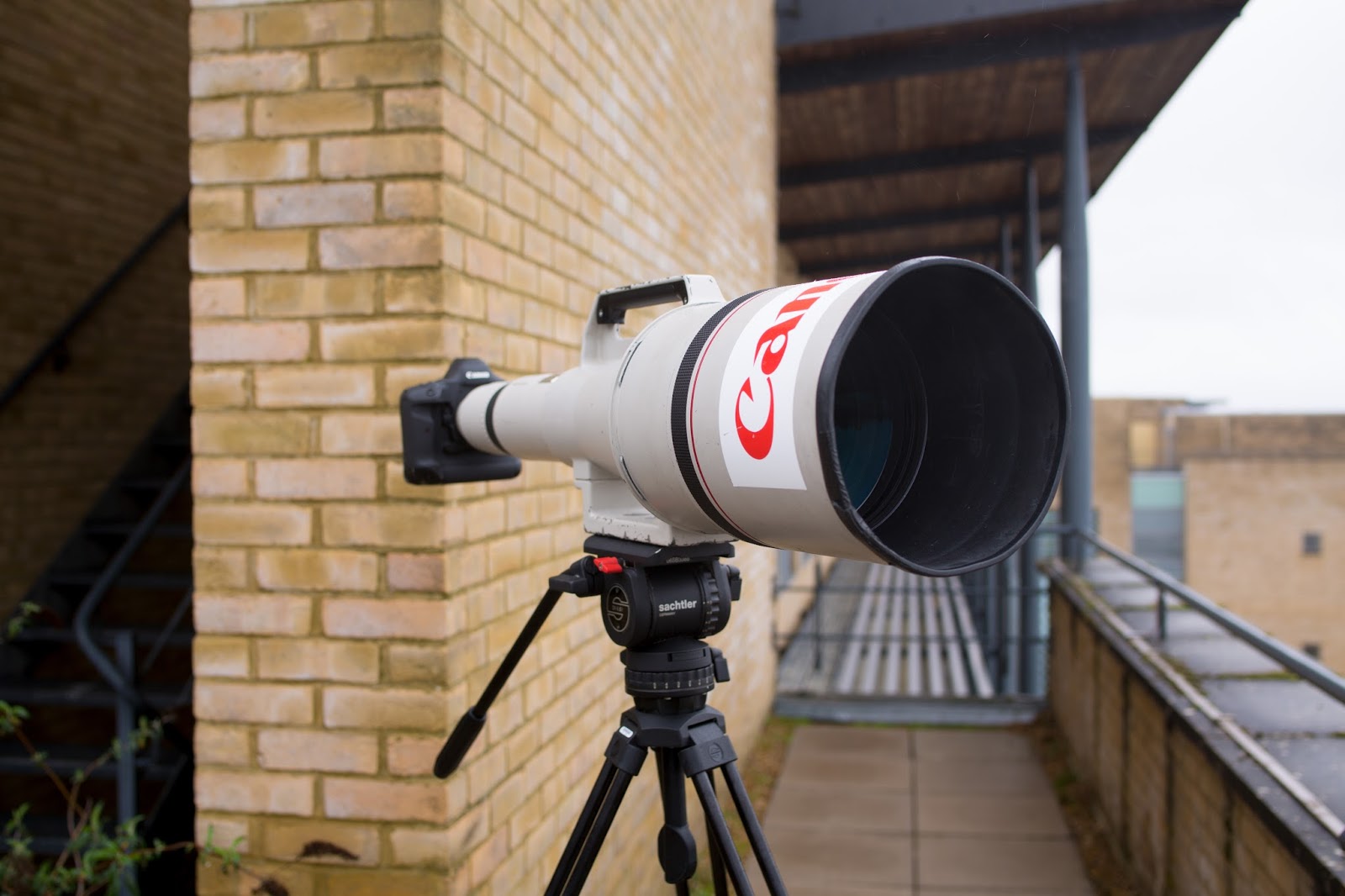 A Short History of Canon's EF 1200mm f/5.6 L USM Lens Park Cameras Blog