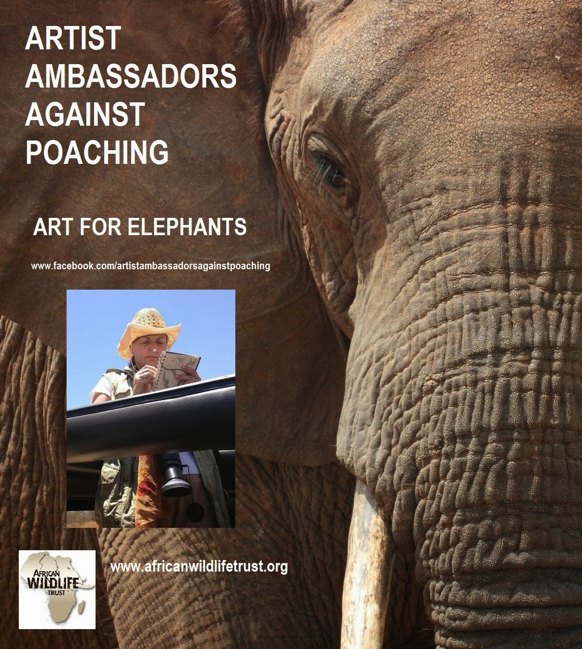 AAAP Art for Elephants