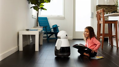 Robot No 9 Kuri — the smart home bot